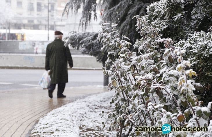 Las pensiones se revalorizarán un 0,25% en 2017