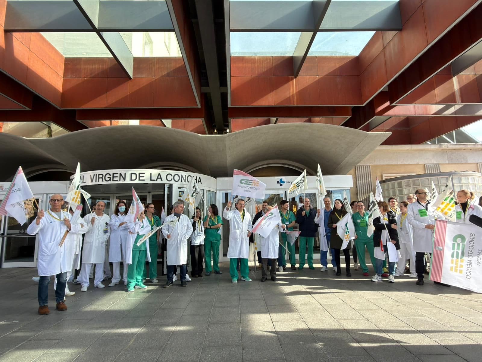 Los médicos zamoranos se manifiestan a las puertas del Hospital Virgen de la Concha este viernes