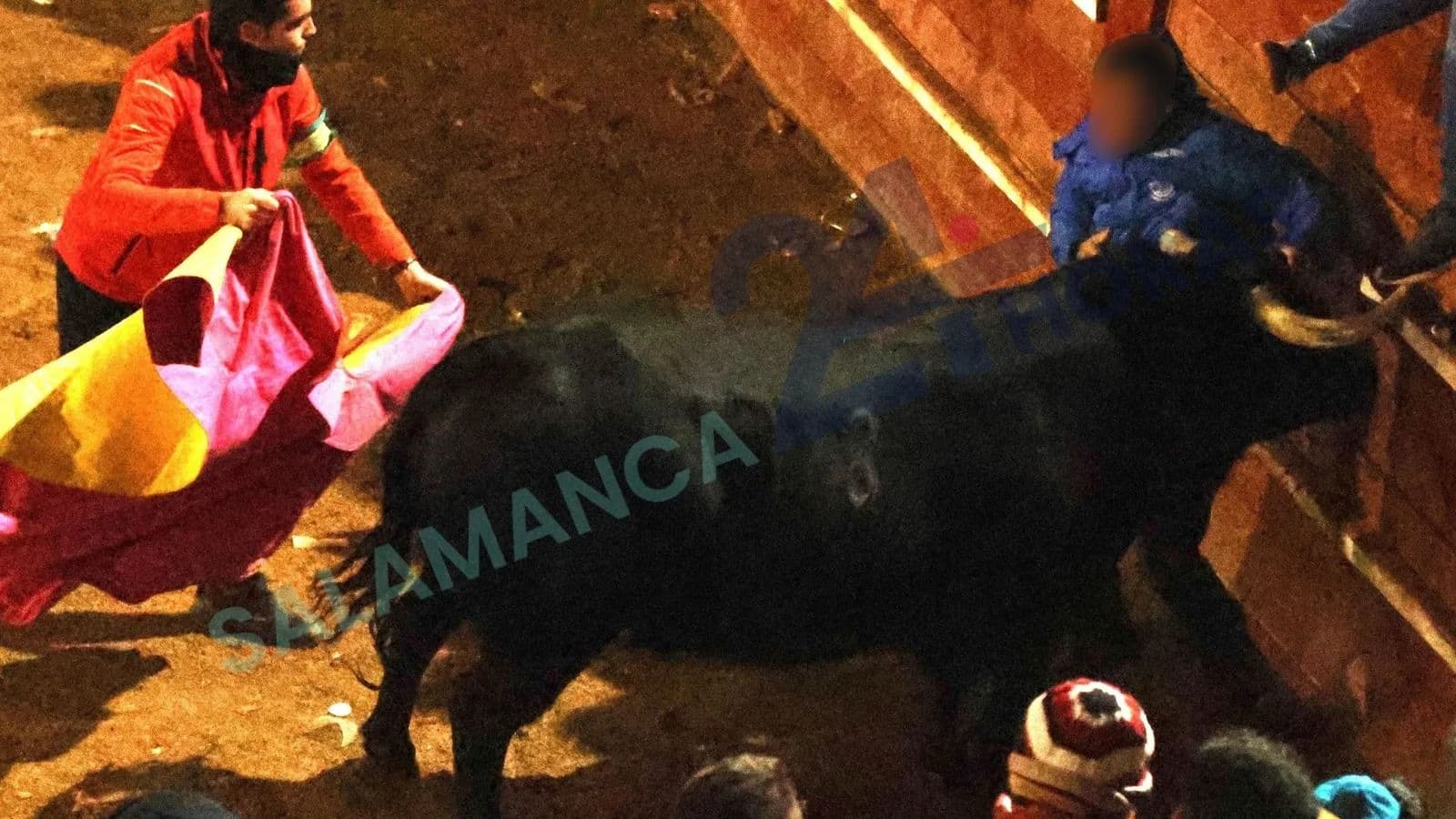 Primer corneado de la capea del viernes en Ciudad Rodrigo. | S24h