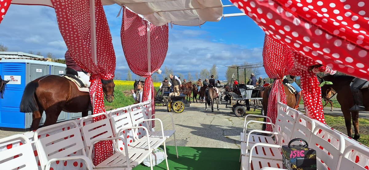 Morales del Vino se prepara para su ‘Camino Flamenco’: consulta las actividades de la jornada | v