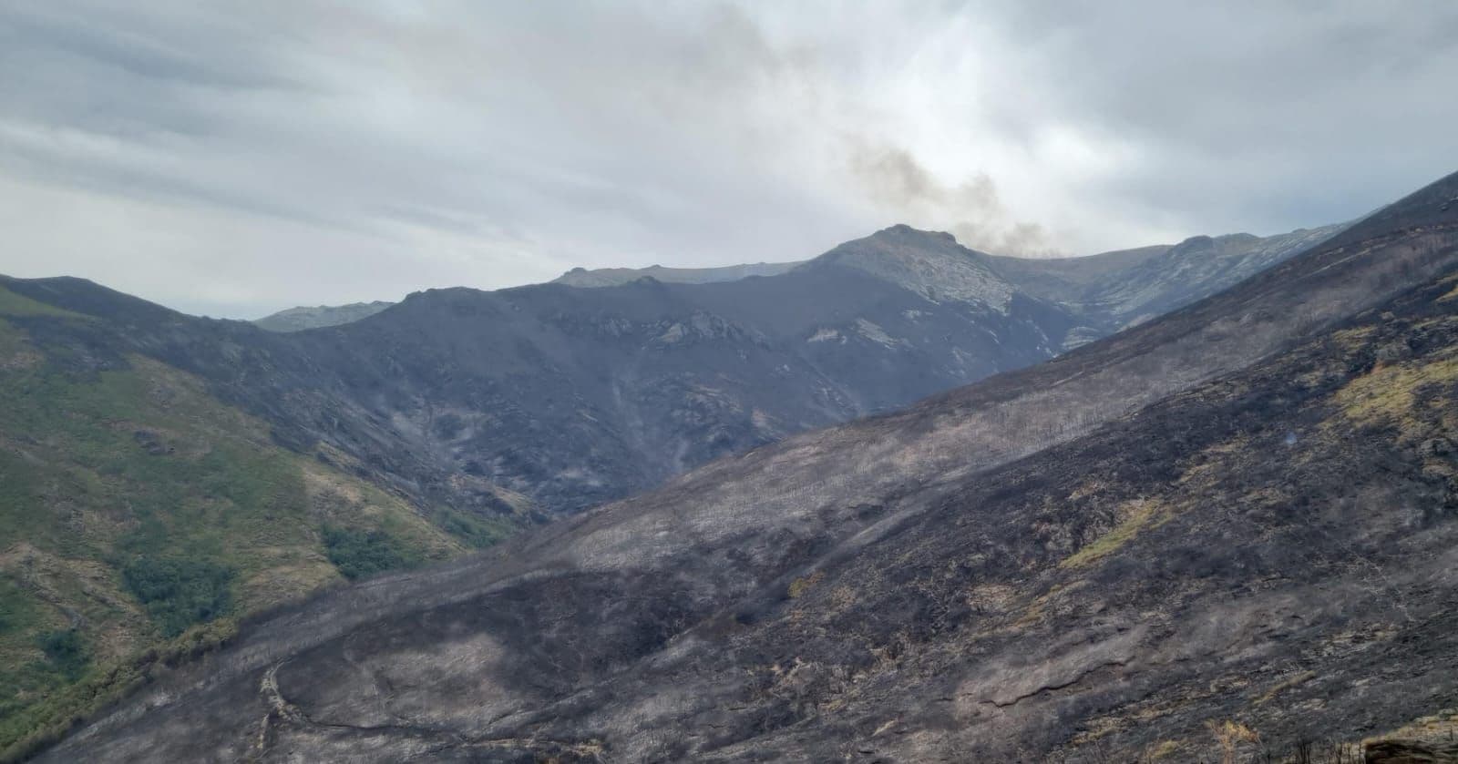 AT_Brif Incendio Porto